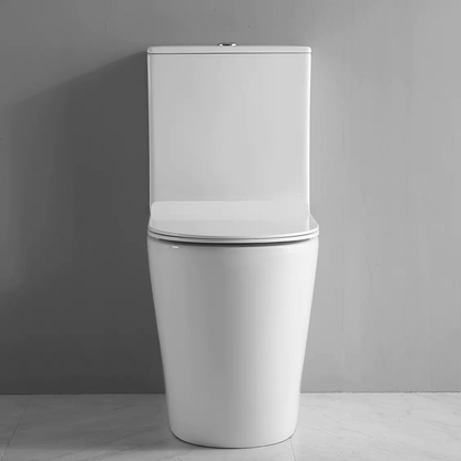 EVEREST RIMLESS BACK TO WALL TOILET SUITE 635X360X845MM