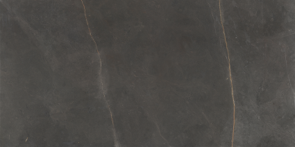 EMERITA DARK (SPAIN) MATT 600X1200MM - $89/SQM