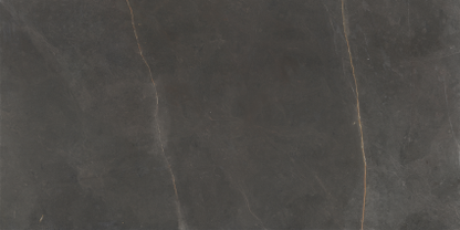 EMERITA DARK (SPAIN) MATT 600X1200MM - $89/SQM