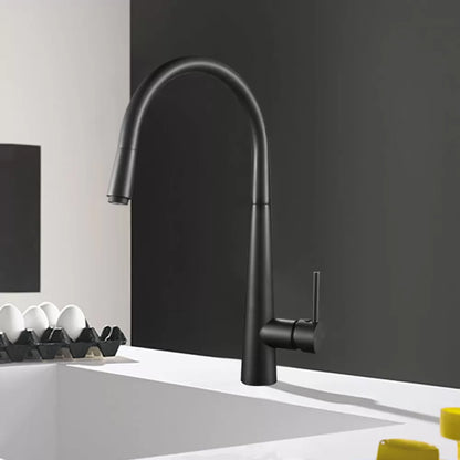 CHASE ROUND PULLOUT KITCHEN SINK MIXER - MATTE BLACK